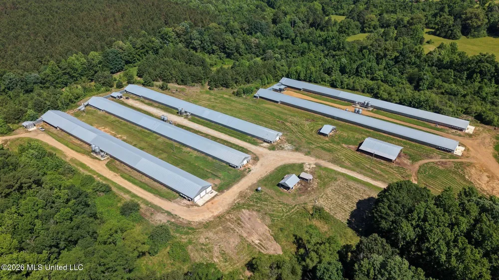 10671 Ms-427 Carthage, MS 39051