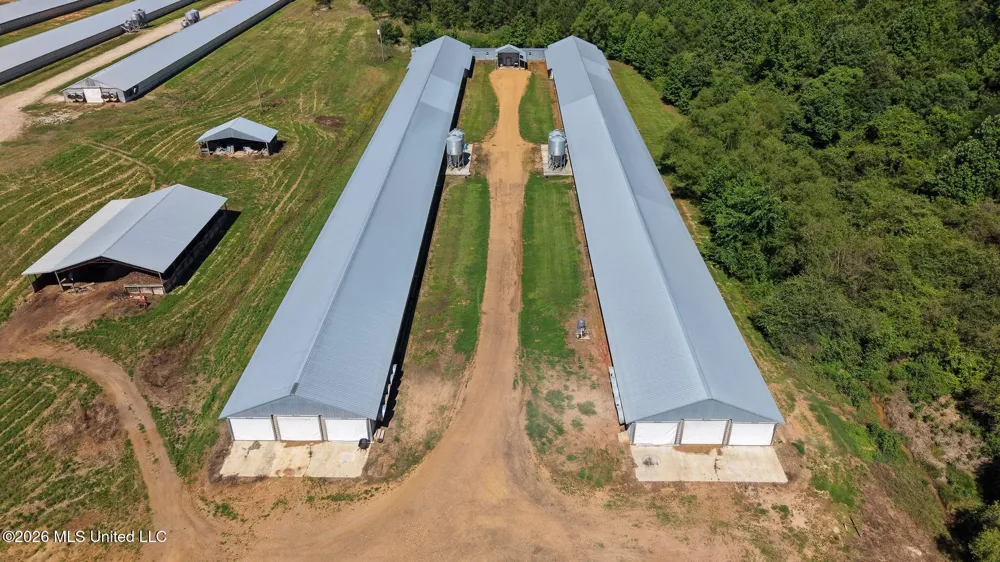 10671 Ms-427 Carthage, MS 39051