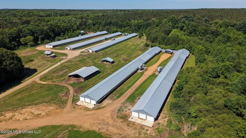 10671 Ms-427 Carthage, MS 39051