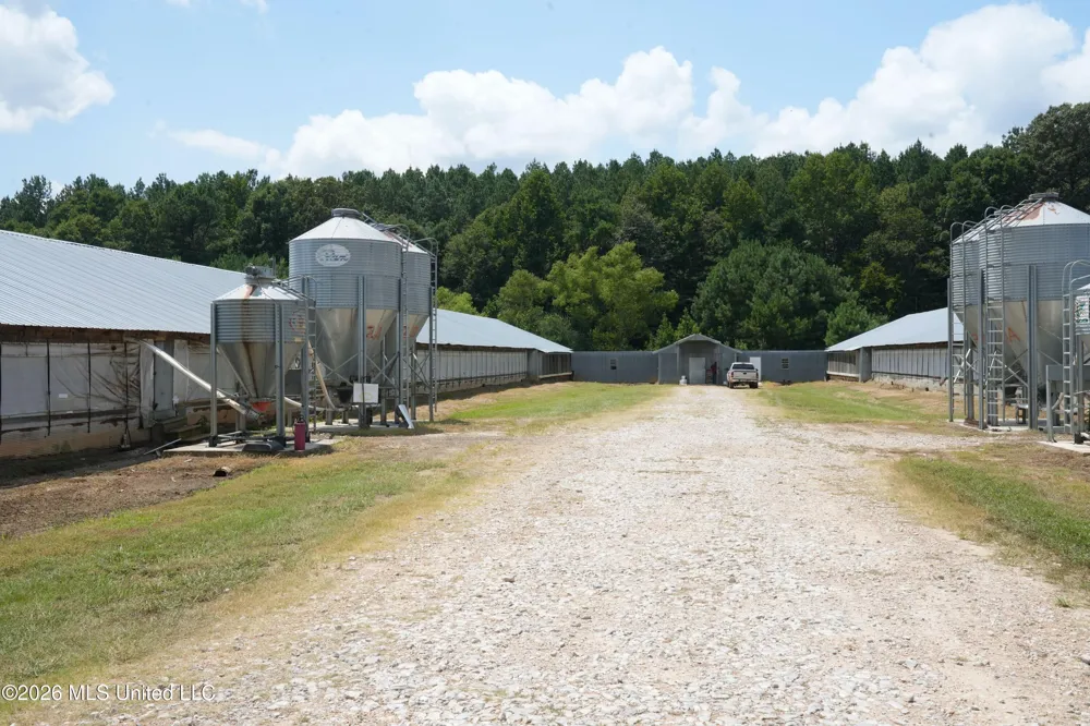 10671 Ms-427 Carthage, MS 39051