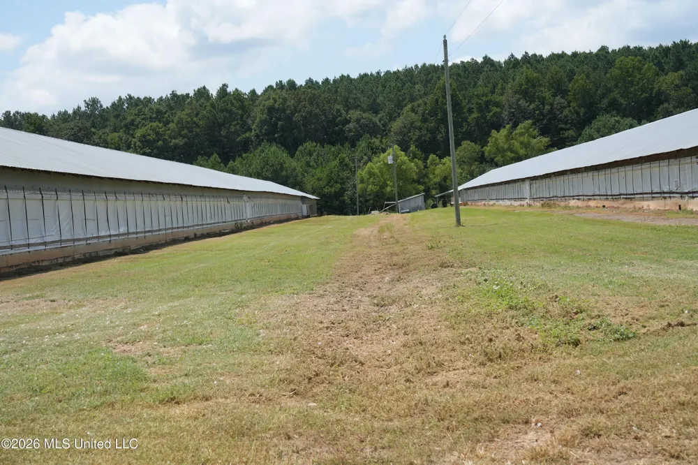 10671 Ms-427 Carthage, MS 39051