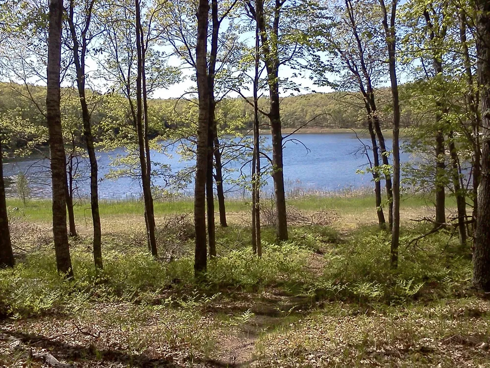 11373 S Rabbit Road Baldwin, MI 49304