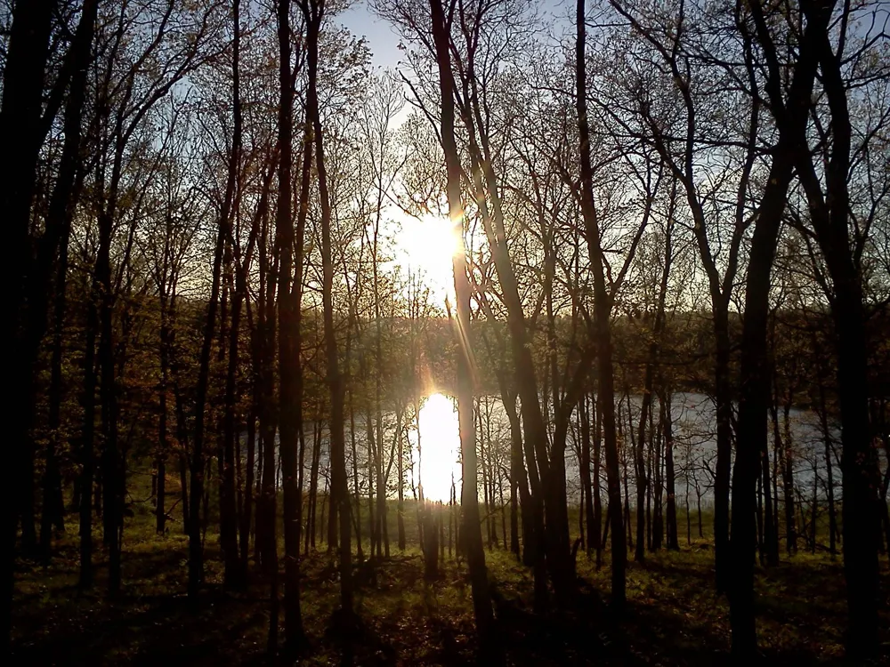 11373 S Rabbit Road Baldwin, MI 49304