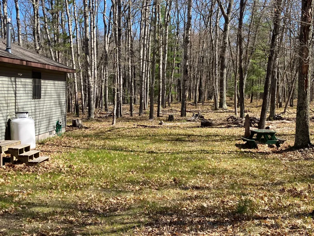 11373 S Rabbit Road Baldwin, MI 49304