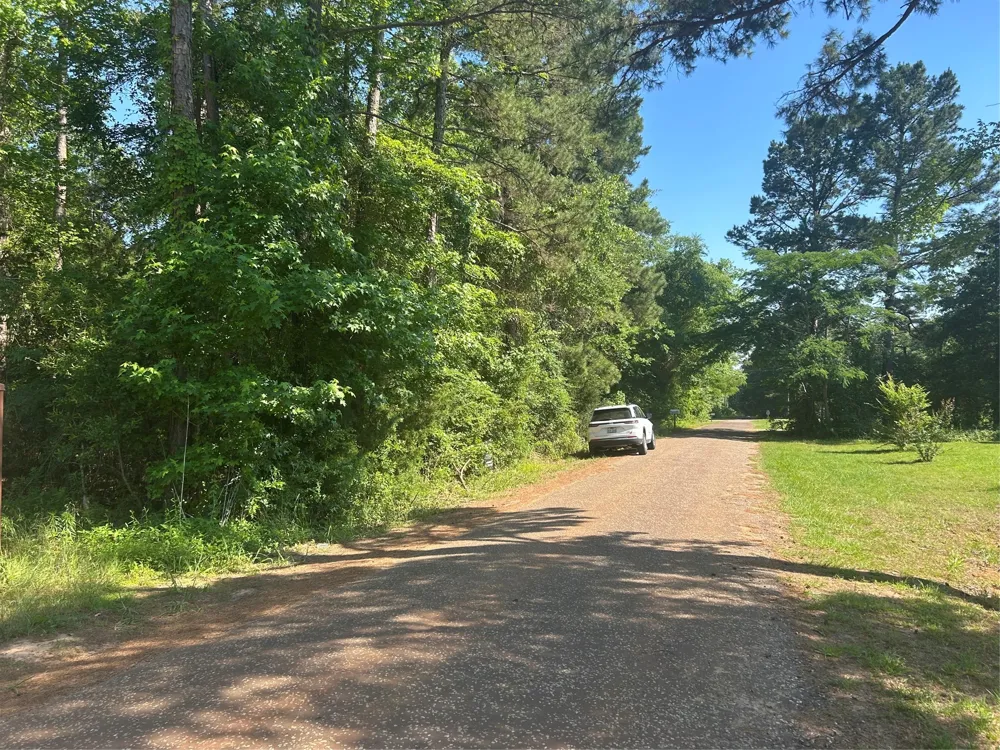 1210 SAN SABA Bullard, TX 75757