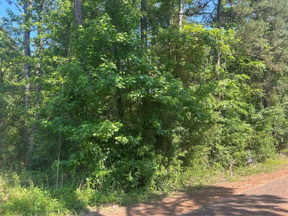 1210 SAN SABA Bullard, TX 75757