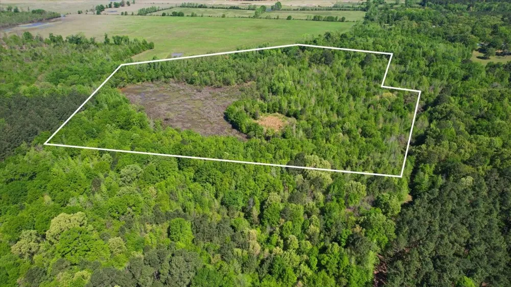 CR 1143 Daingerfield, TX 75638