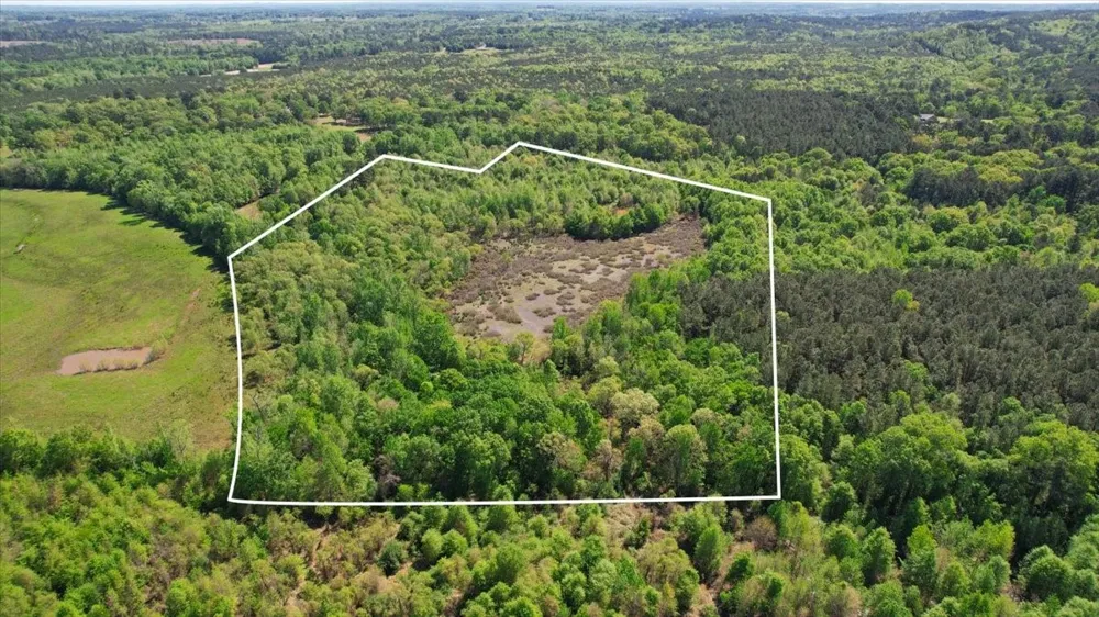CR 1143 Daingerfield, TX 75638