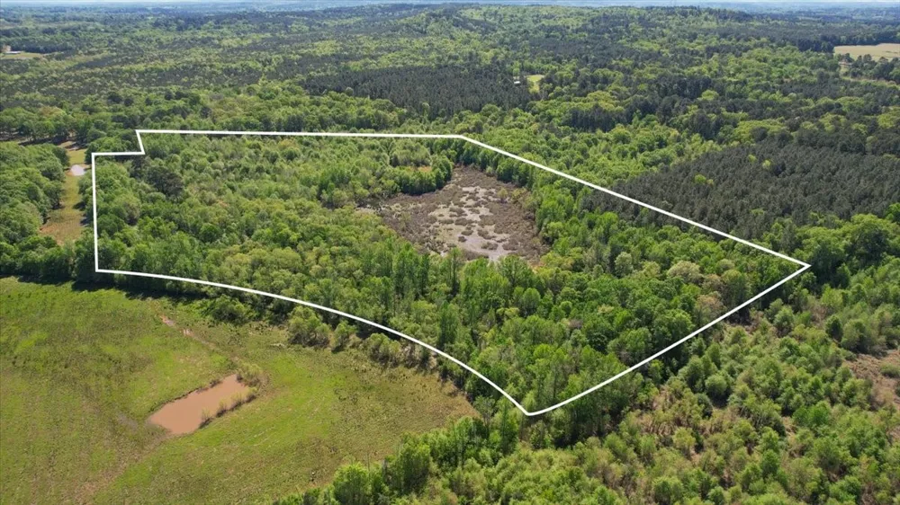 CR 1143 Daingerfield, TX 75638