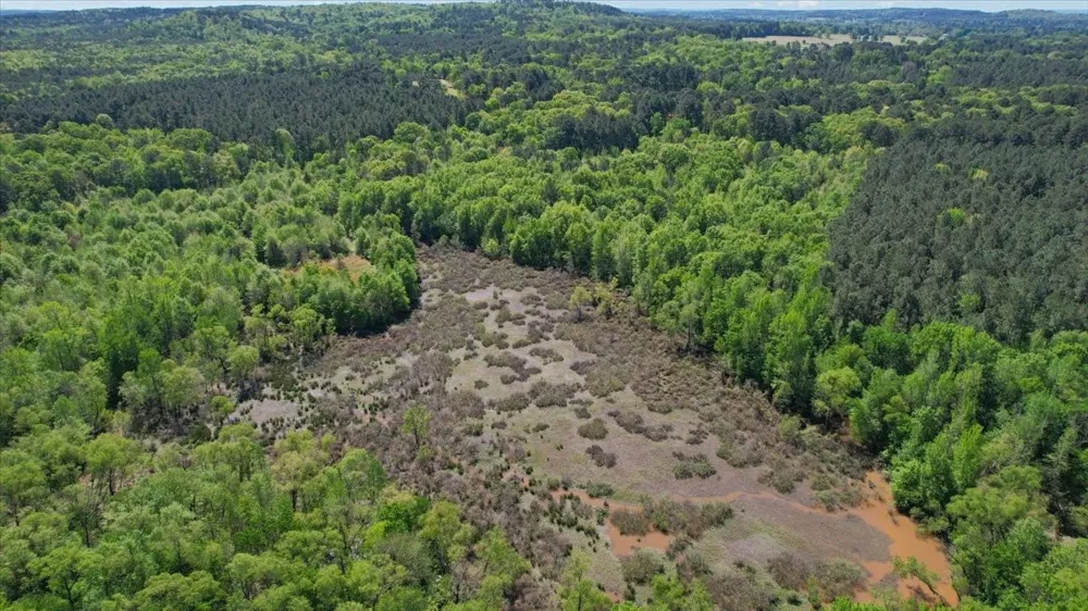CR 1143 Daingerfield, TX 75638