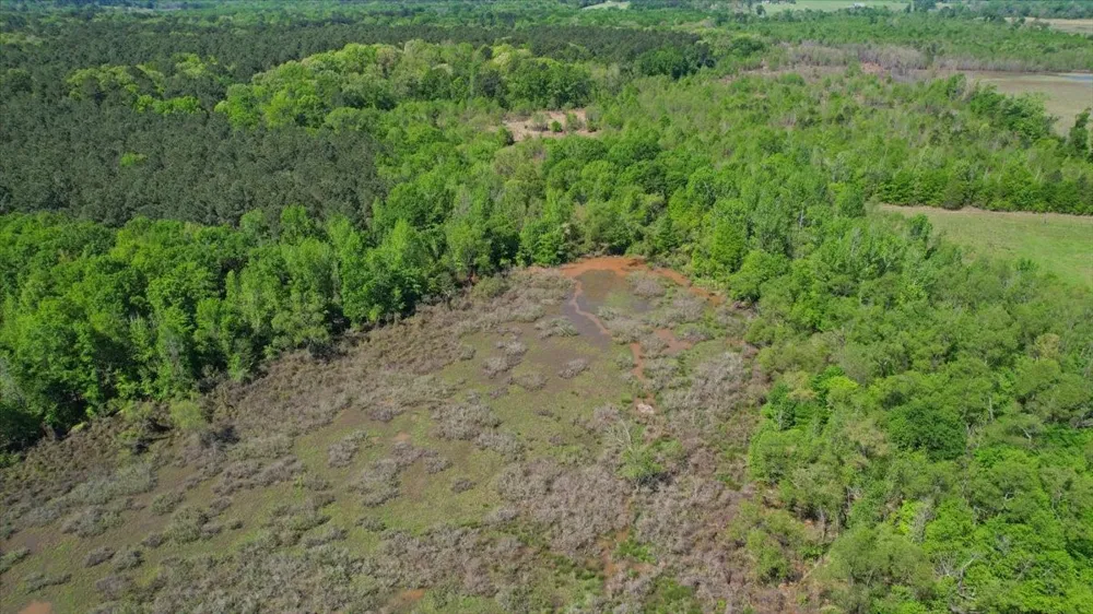 CR 1143 Daingerfield, TX 75638