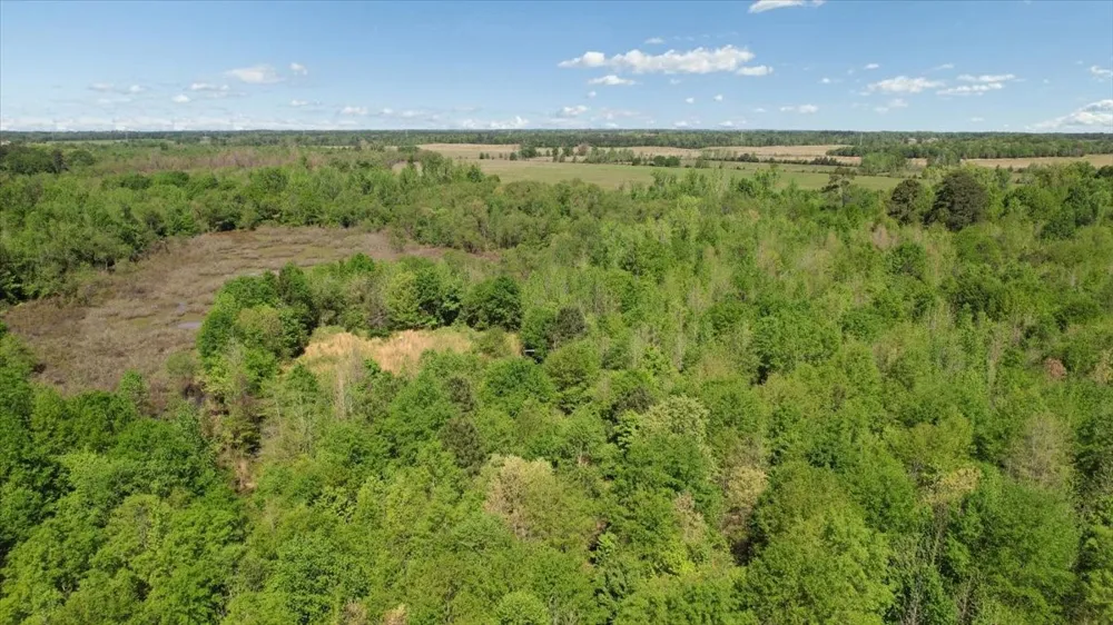 CR 1143 Daingerfield, TX 75638
