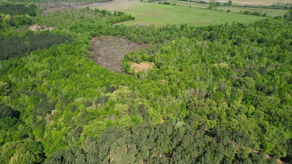 CR 1143 Daingerfield, TX 75638