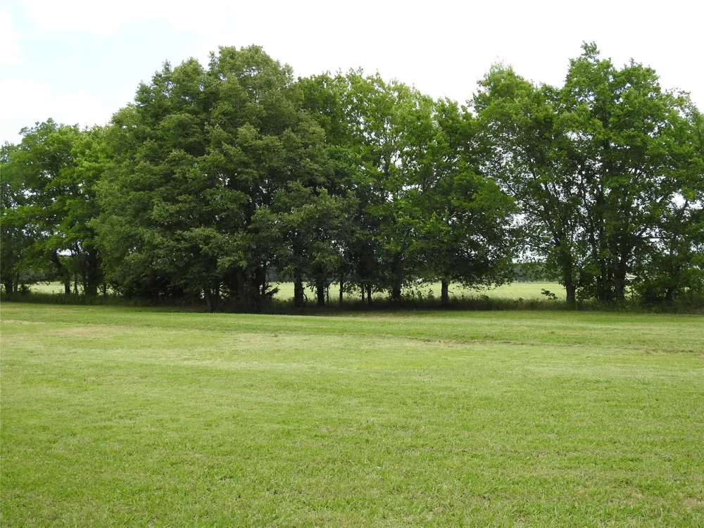 1468 County Road 4015 Savoy, TX 75479