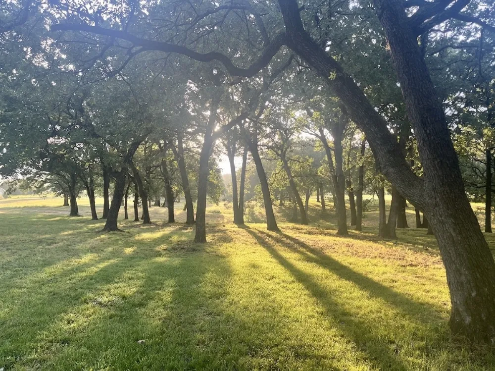 27659 US Highway 377 Gordonville, TX 76245