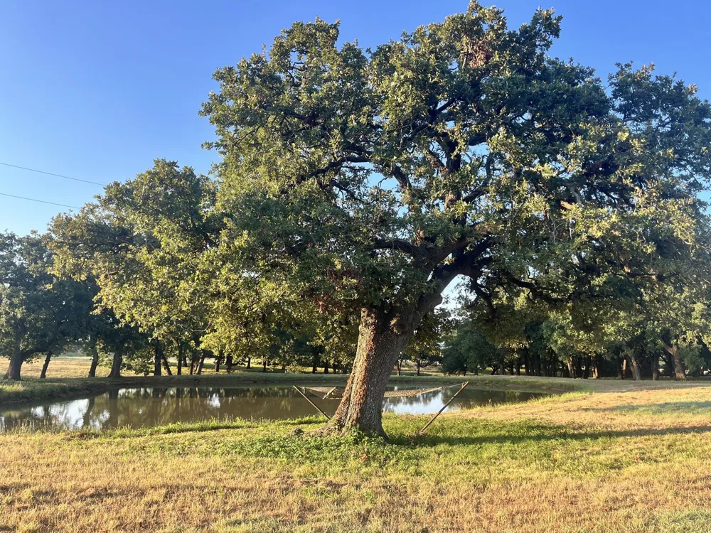 27659 US Highway 377 Gordonville, TX 76245