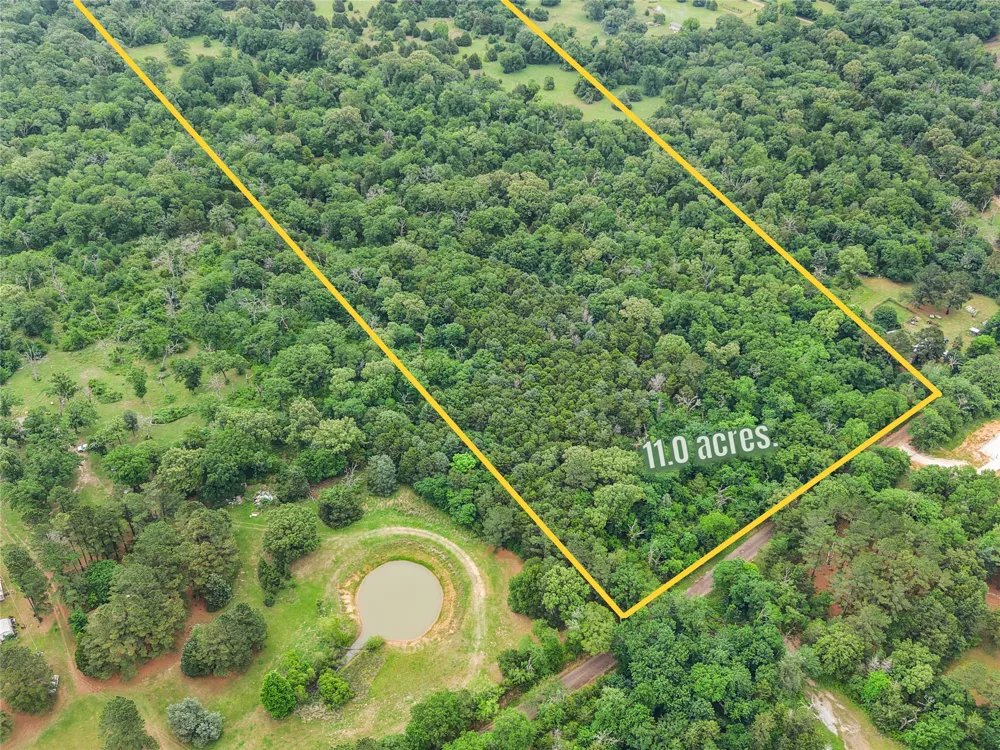 CR 261 Oakwood, TX 75855