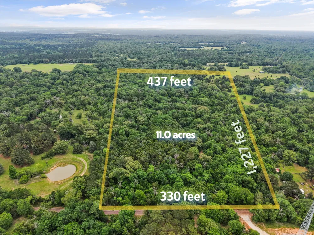 CR 261 Oakwood, TX 75855