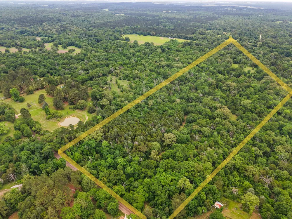 CR 261 Oakwood, TX 75855