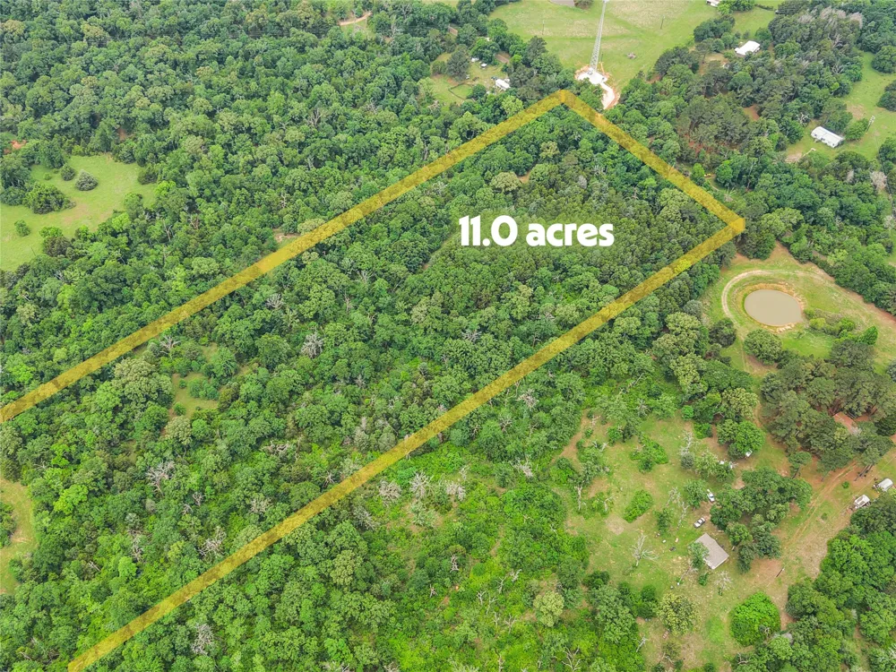 CR 261 Oakwood, TX 75855