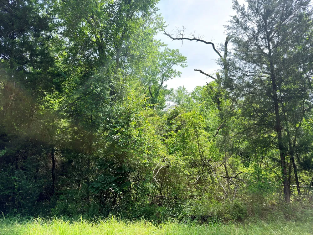 CR 261 Oakwood, TX 75855