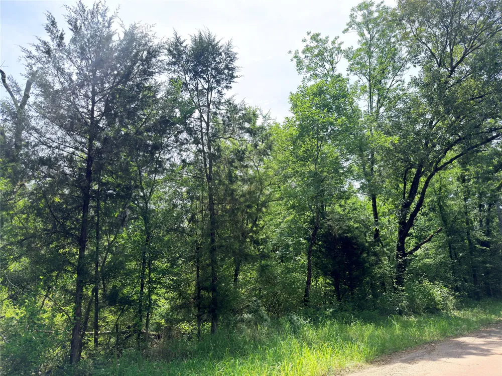CR 261 Oakwood, TX 75855