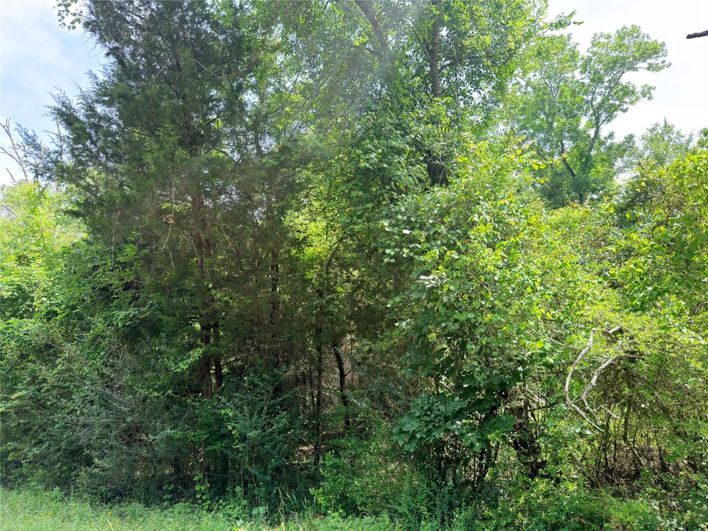 CR 261 Oakwood, TX 75855
