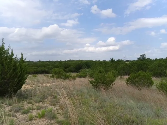 1249 County Road 2357 Meridian, TX 76665