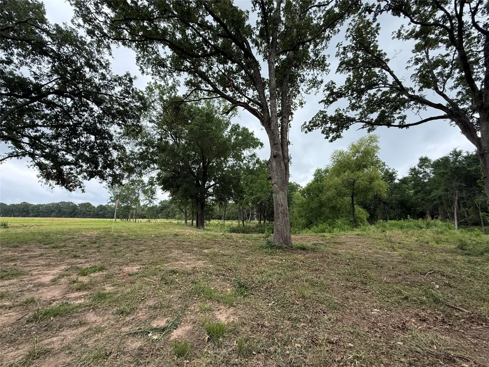 200 Livingston Street Edgewood, TX 75117