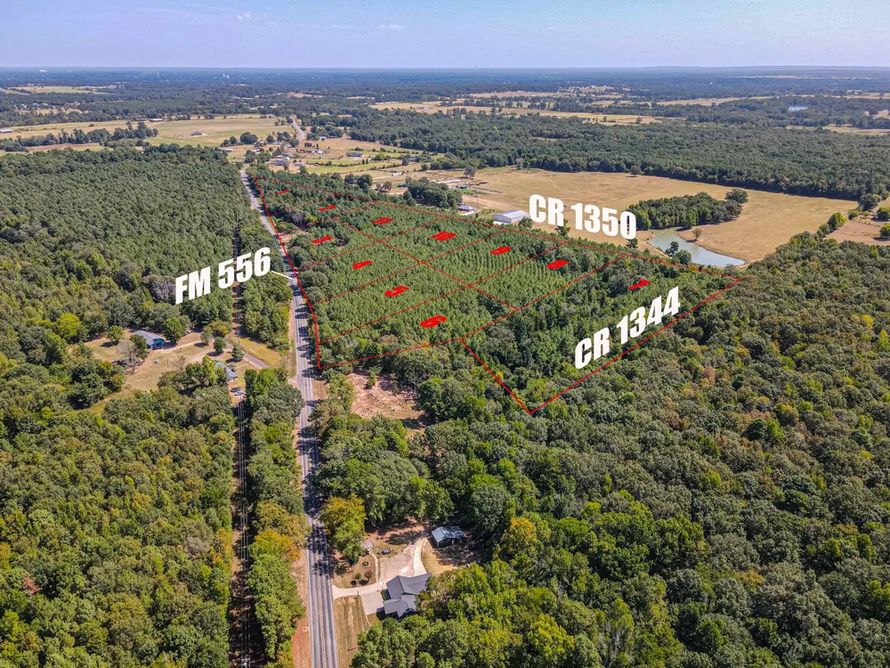 FM 556 Pittsburg, TX 75686