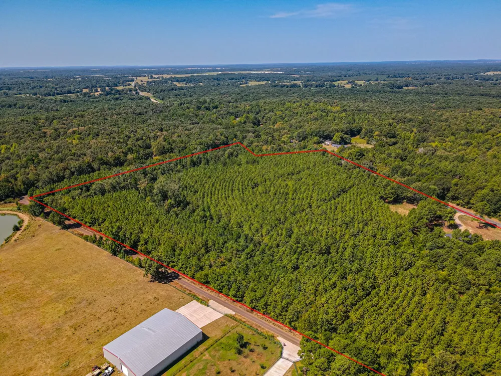 FM 556 Pittsburg, TX 75686