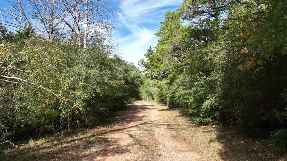 5400 Florida Chapel Road Fayetteville, TX 78940
