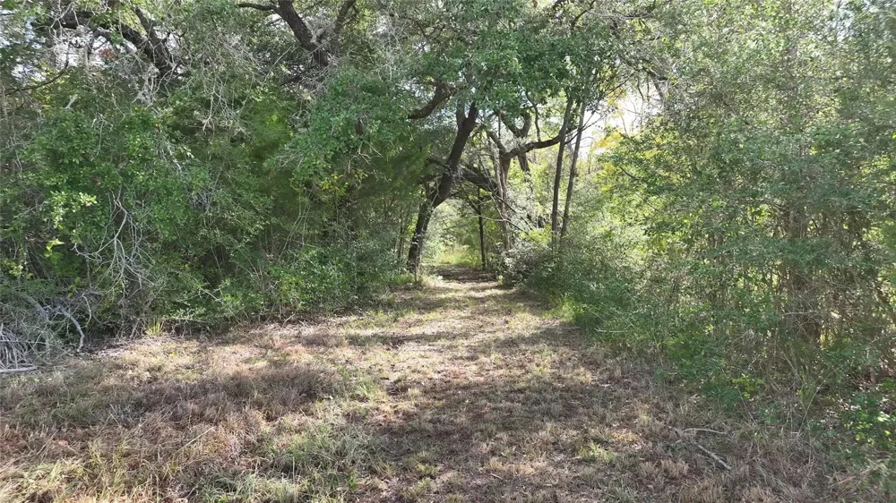 5400 Florida Chapel Road Fayetteville, TX 78940