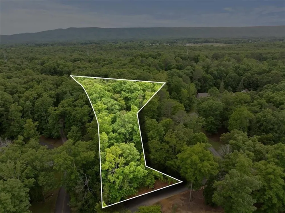 396 Russell Hill Estates Drive NW Sugar Valley, GA 30746