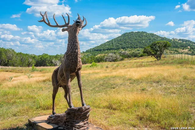 7364 FM 2828 Bandera, TX 78003