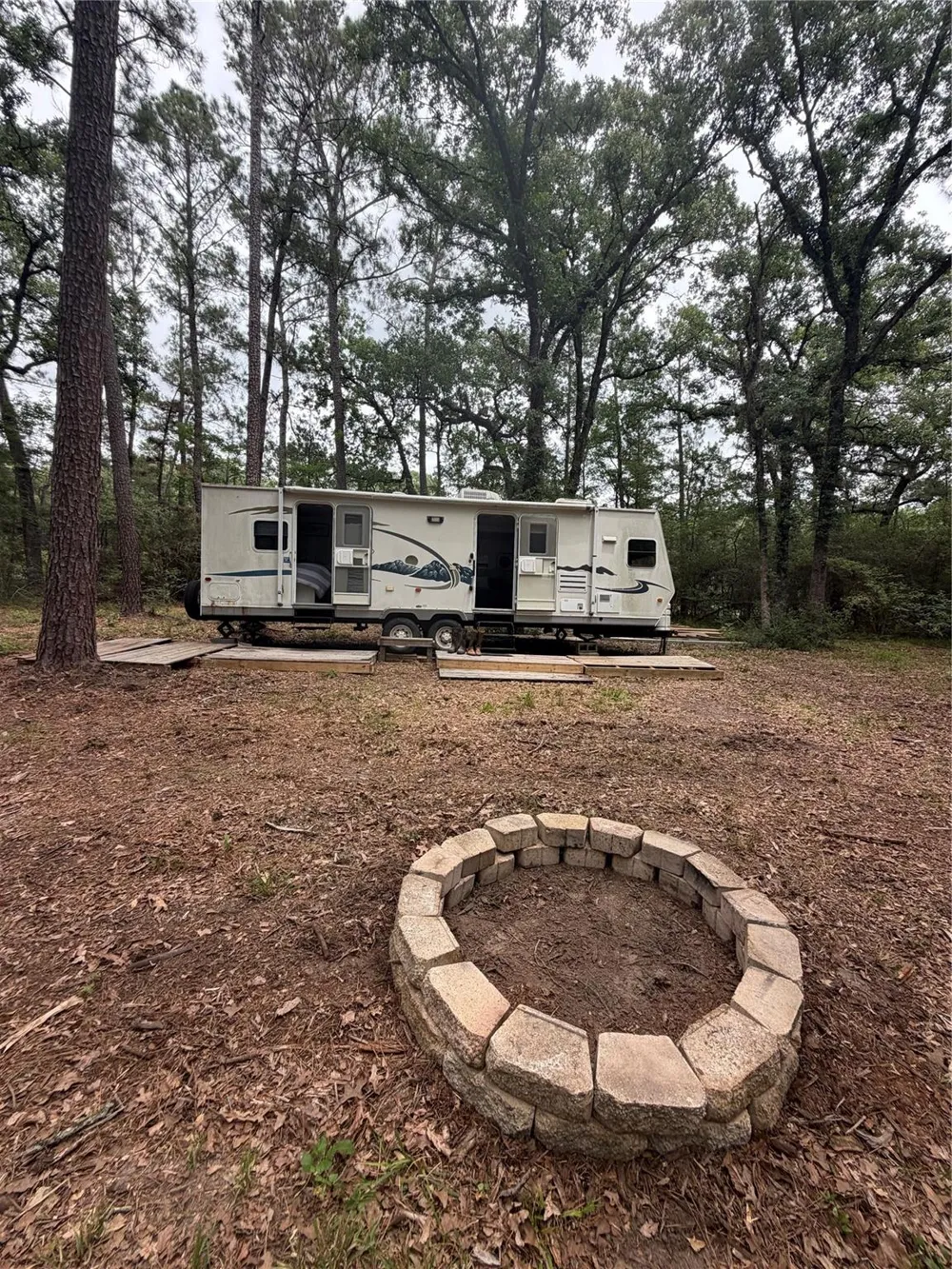 Fm 980 Point Blank, TX 77364
