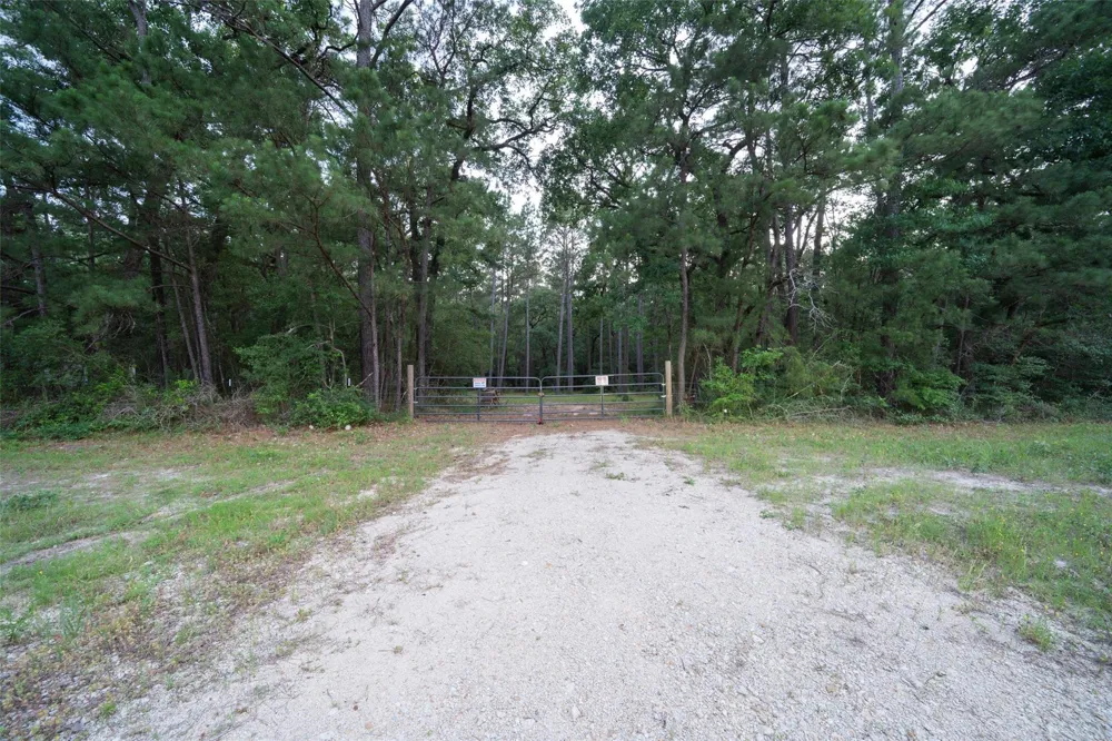 Fm 980 Point Blank, TX 77364