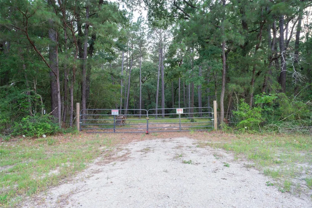 Fm 980 Point Blank, TX 77364
