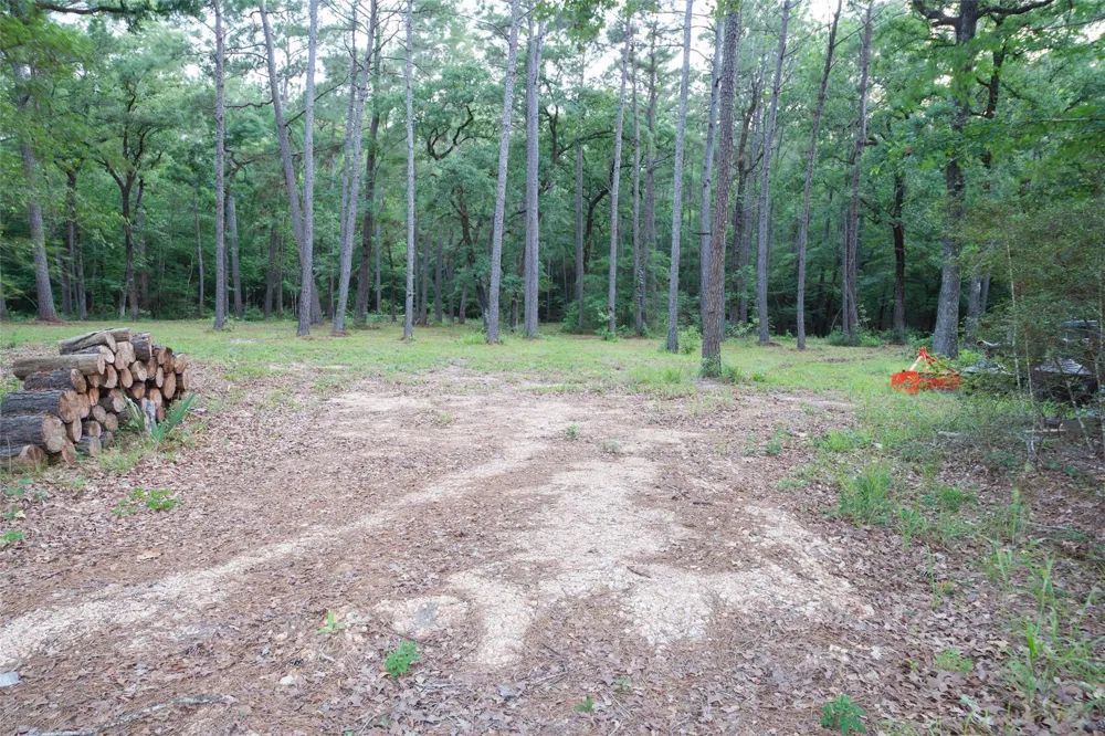 Fm 980 Point Blank, TX 77364