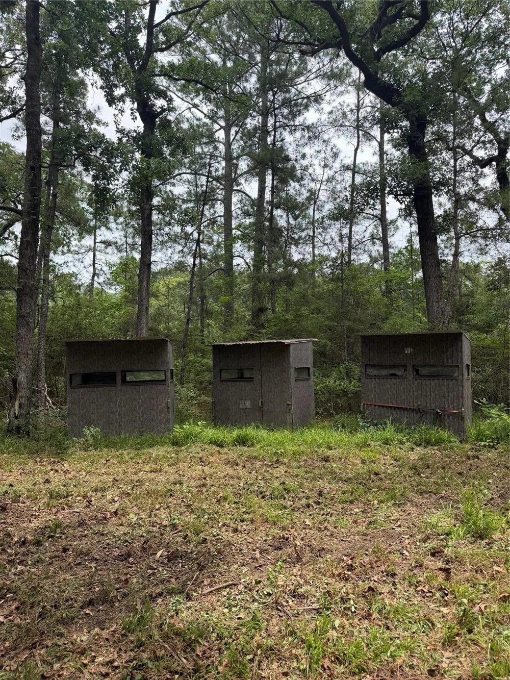 Fm 980 Point Blank, TX 77364