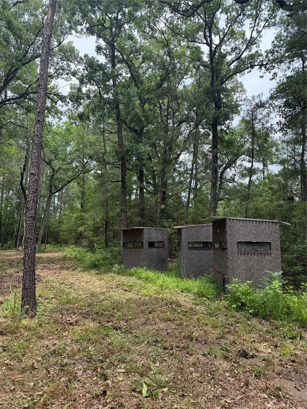 Fm 980 Point Blank, TX 77364