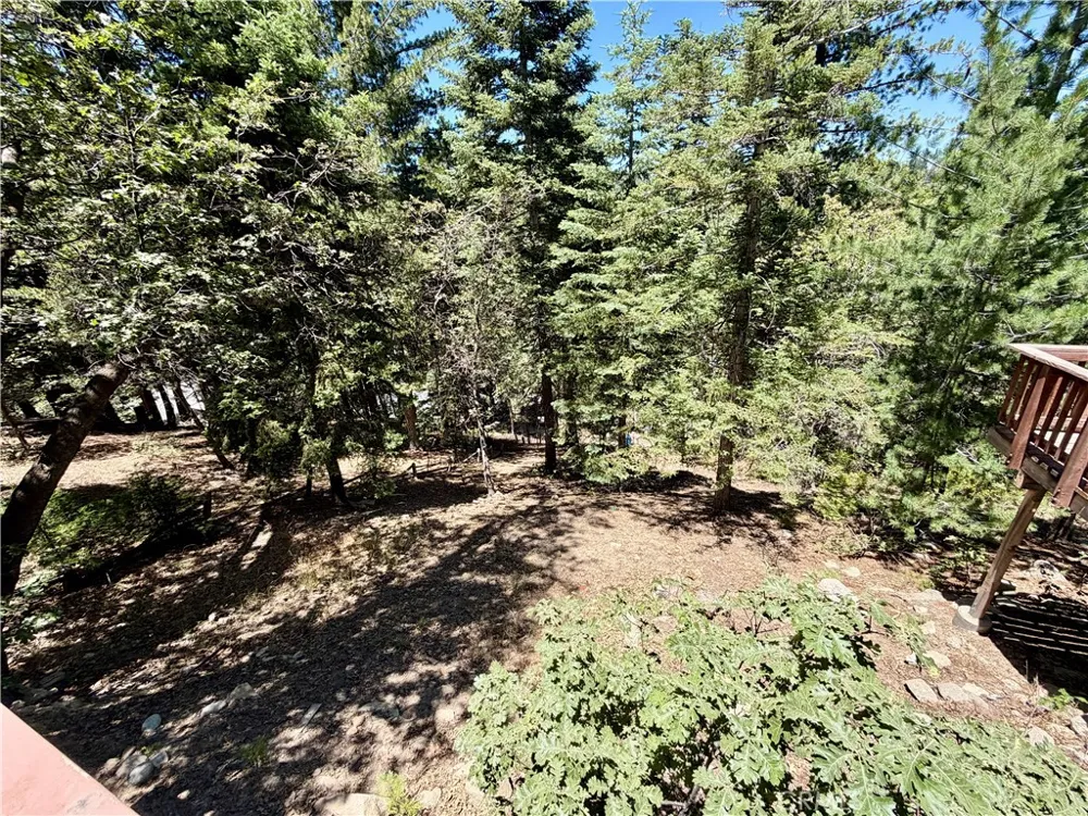 590 Rose Twin Peaks, CA 92391
