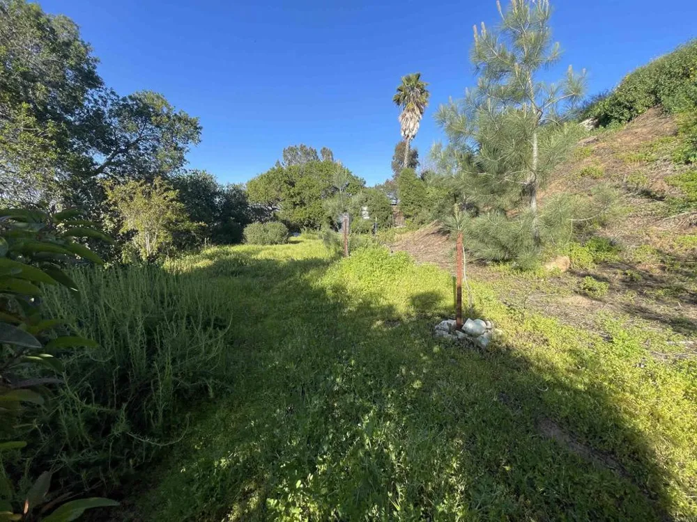 El Granito Avenue La Mesa, CA 91941