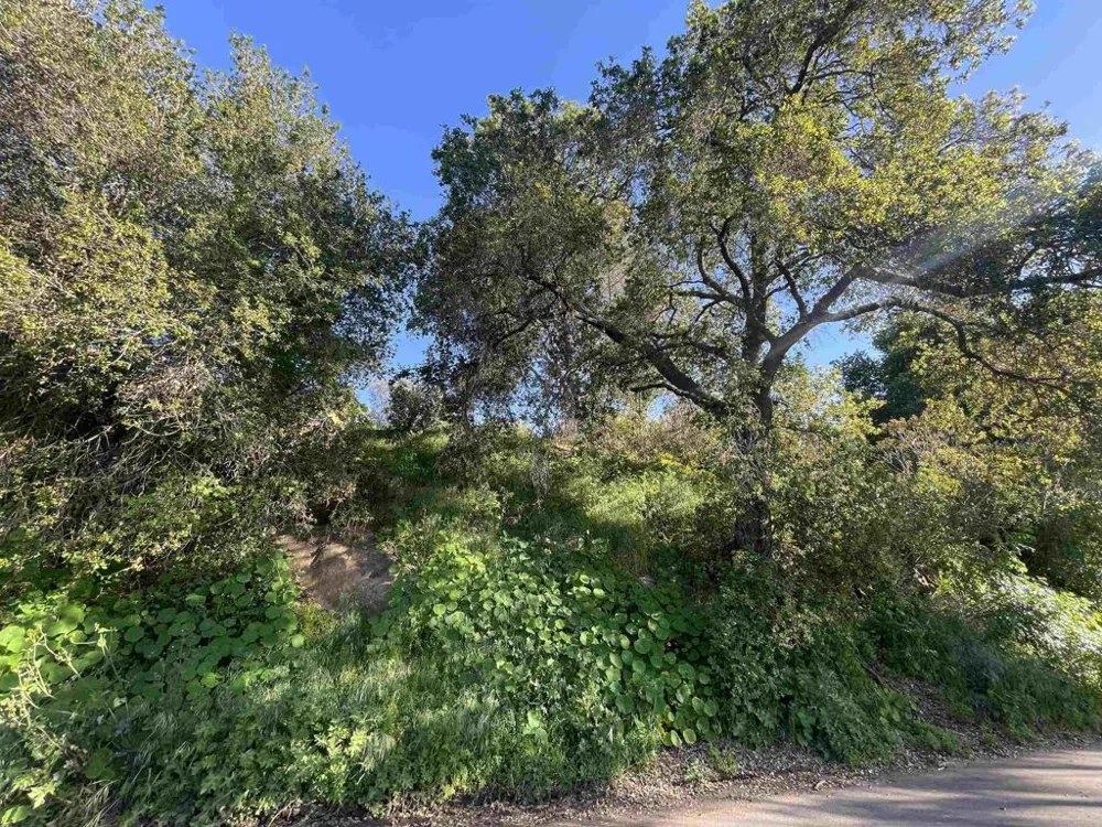 El Granito Avenue La Mesa, CA 91941