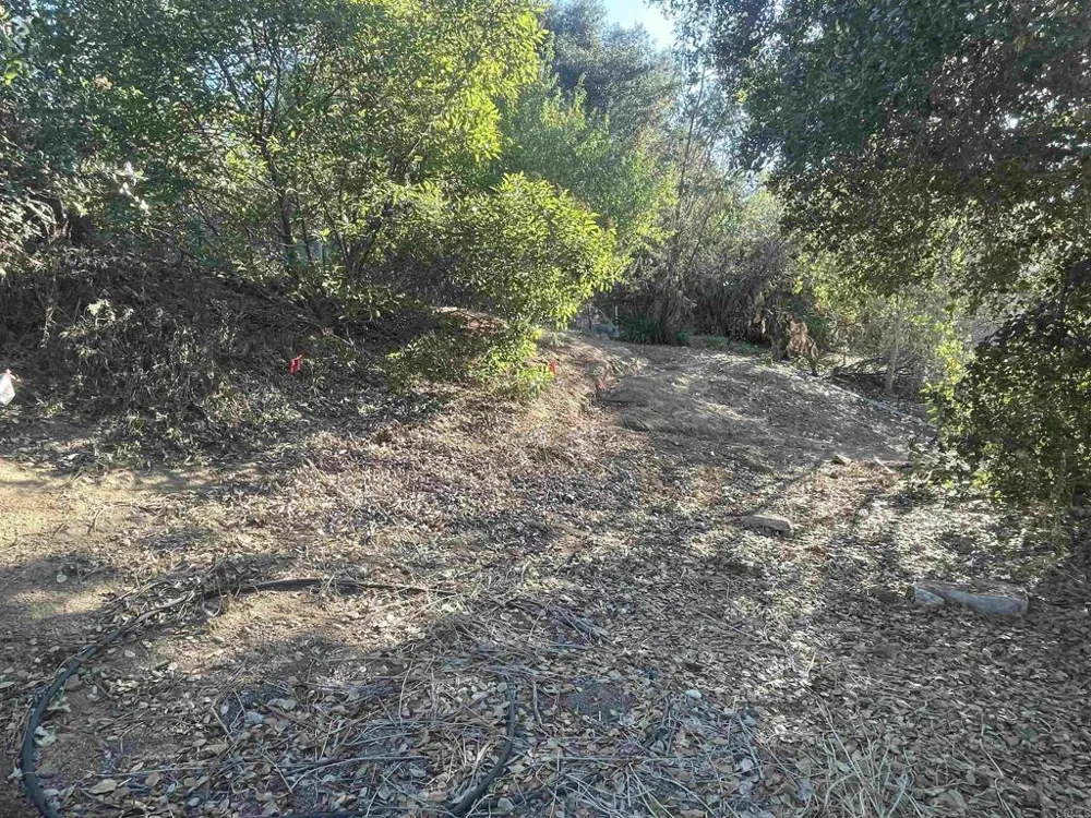 El Granito Avenue La Mesa, CA 91941