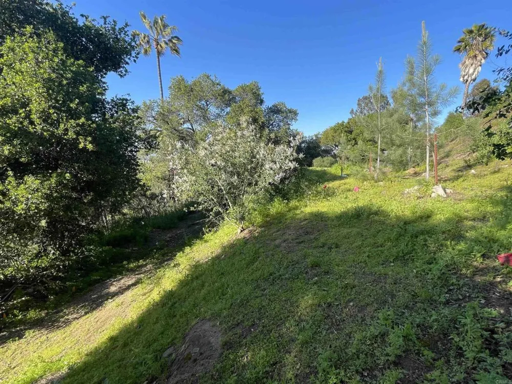 El Granito Avenue La Mesa, CA 91941