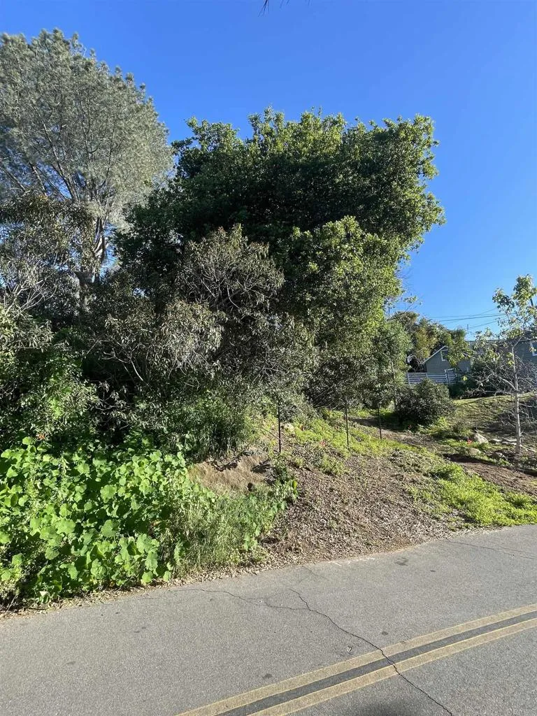 El Granito Avenue La Mesa, CA 91941