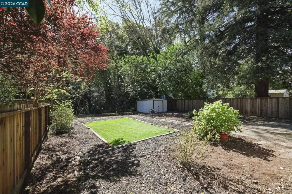 3597 Walnut St Lafayette, CA 94549