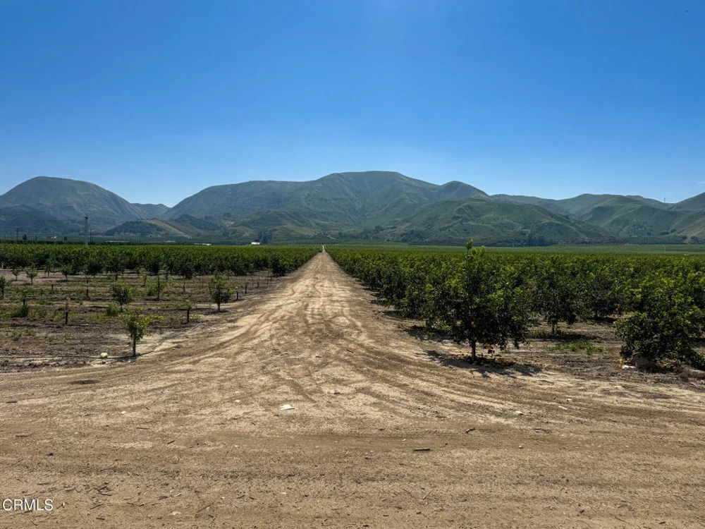 2417 South Mountain Road Fillmore, CA 93015