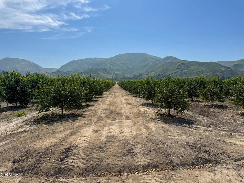 2417 South Mountain Road Fillmore, CA 93015